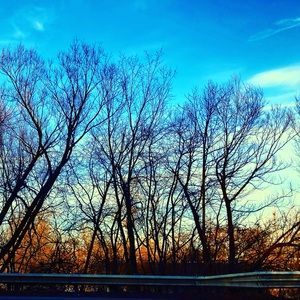 Meet your Posher, Jayla